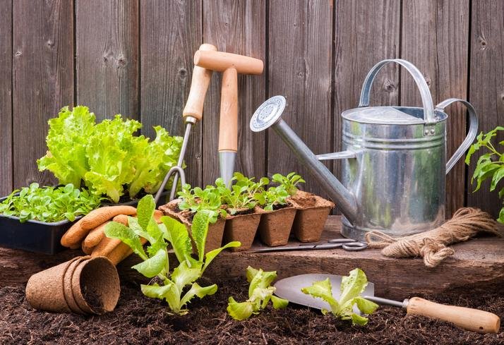 Garden scene with lettuce seedlings, soil, a metal watering can, a trowel and a garden fork on a wooden bench. There are also biodegradable pots and twine next to a wooden fence.