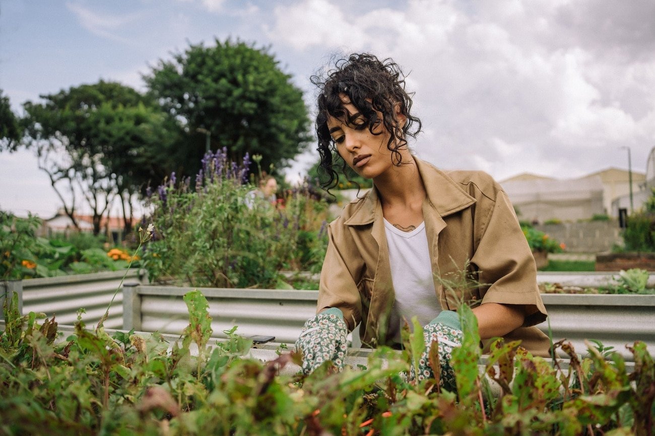 Person with curly hair, wearing gloves and a brown coat, tending a garden bed surrounded by lush greenery and flowers. The sky is partly cloudy and there are trees and white buildings in the background.