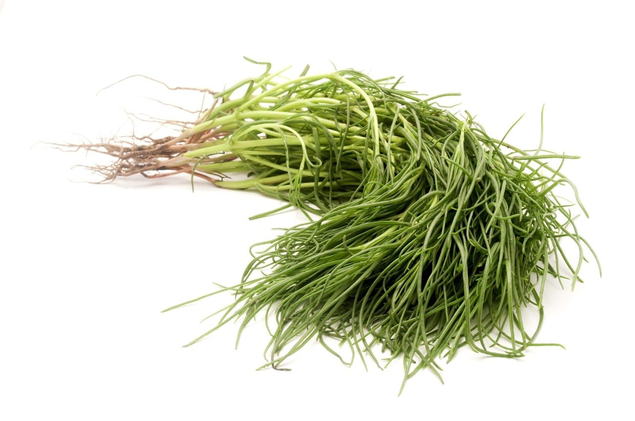 A bunch of fresh agretti, also known as Salsola soda, is shown on a white background. The long, thin green leaves are attached to their roots, giving them a fresh, natural appearance.